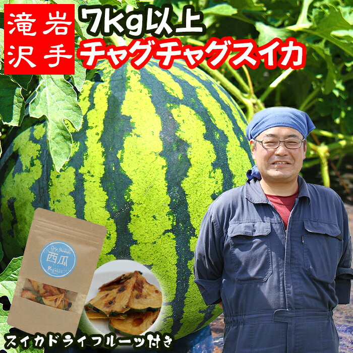 【ふるさと納税】 すいか おすすめ チャグチャグスイカ 2L 7kg 以上 & スイカ ドライフルーツ セット ／ 西瓜 1玉 1玉 2L 大玉 夏 風物詩 定番 フルーツ 果物 くだもの 乾燥 乾物 珍しい 人気 旬 夏ギフト オススメ 産地直送 国産 岩手県 滝沢市 送料無料 駿河農園ベジスル