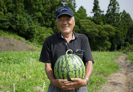 【高知県 大月町産】兼松農園のあまーい大玉スイカ 1玉