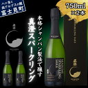 【ふるさと納税】真澄 スパークリング 750ml 2本 セット 日本酒 地酒 酒 泡酒 食中酒 女性 おすすめ 宮坂醸造 老舗 諏訪五蔵 富士見蔵 プレゼント ギフト 贈り物 贈答 家飲み 晩酌 お歳暮 父の日 母の日 信州 長野県 富士見町