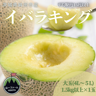 【先行受付】令和8年5月順次発送 茨城県オリジナル品種!! イバラキング 4L～5L・1玉 数量限定【配送不可地域：離島・沖縄県】
