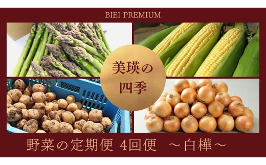 【先行予約】<令和7年産 > 美瑛の四季 野菜 定期便【白樺】4回便 |  アスパラ とうもろこし  食べ比べ 送料無料 セット 玉ねぎ 人気 おすすめ ランキング いも 芋 イモ じゃがいも ジャガイモ 野菜 4か月 4回便 4回[039-04]