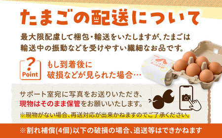 【12回定期便】あっぱれ卵 80個 /いとう養鶏場 [UAQ005] 卵