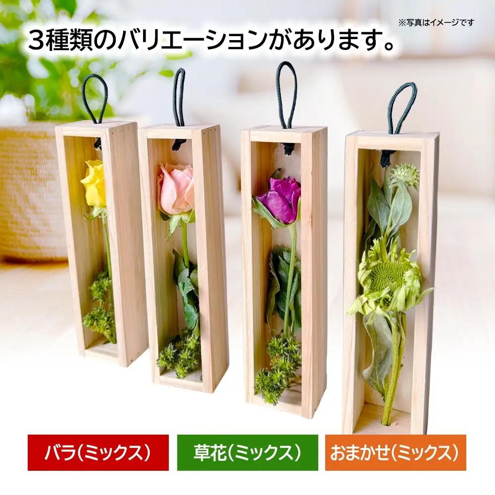 SL0284　水のいらない花 ゼロフラワー「花いちりん」 S×3セット　草花(ミックス) 