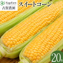 【ふるさと納税】 朝採り スイートコーン 20本 朝採り 高糖度 期間限定 甘い あまい フルーツ並 朝どり 朝採れ 朝どれ スイートコーン コーン 旬 とうもろこし 農家直送 野菜 自宅用 家庭用 トウモロコシ