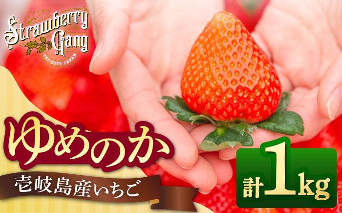 ゆめのか 約250g×4パック《壱岐市》【Strawberry Gang】 [JEM001] セット いちご イチゴ 苺 定期便 果物 フルーツ スムージー 15000 15000円