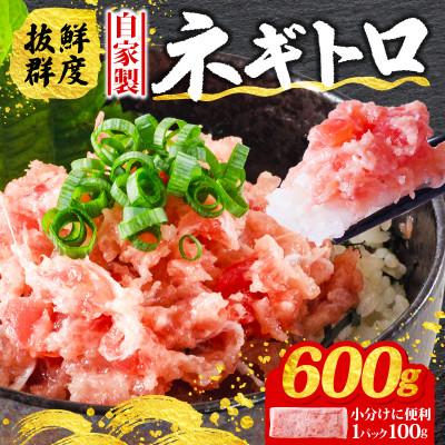 ふるさと納税 松山市 【まぐろ屋さんのねぎとろ】自家製ねぎとろ お試しサイズ!　600g ( 100g×6パック )