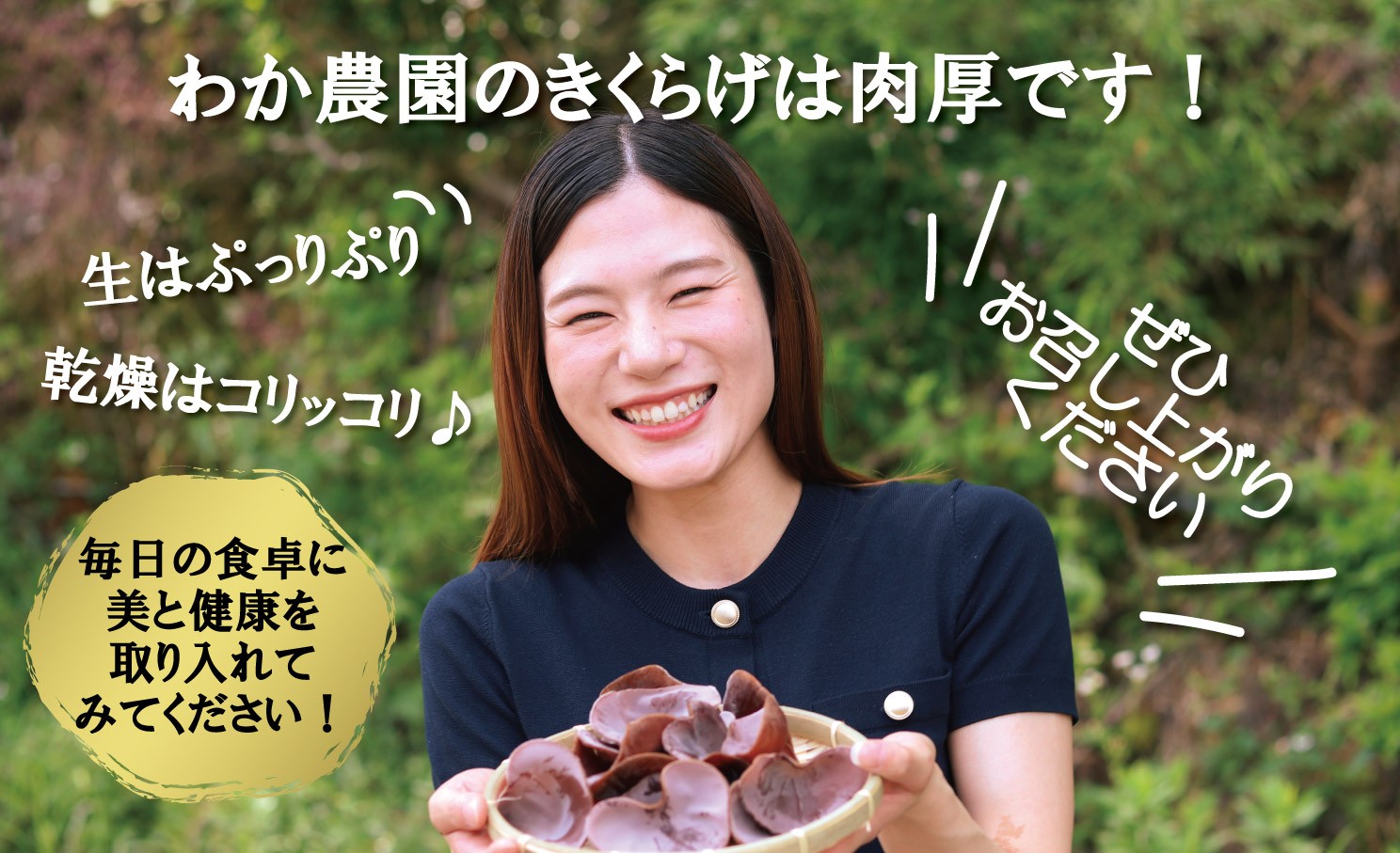 鹿児島県産天日干し乾燥きくらげ