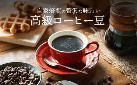 【定期便】関市　コーヒー豆　カフェアダチ　コクのある　厳選ストレートコーヒー　６ヶ月定期便　１００g/カフェアダチ　珈琲　コーヒー　自家焙煎　COFFEE　焙煎　豆　粉にもできます　