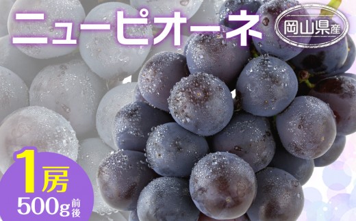 ぶどう 2026年  ニュー ピオーネ 1房 500g前後 ブドウ 葡萄  岡山県産 国産 フルーツ 果物 ギフト