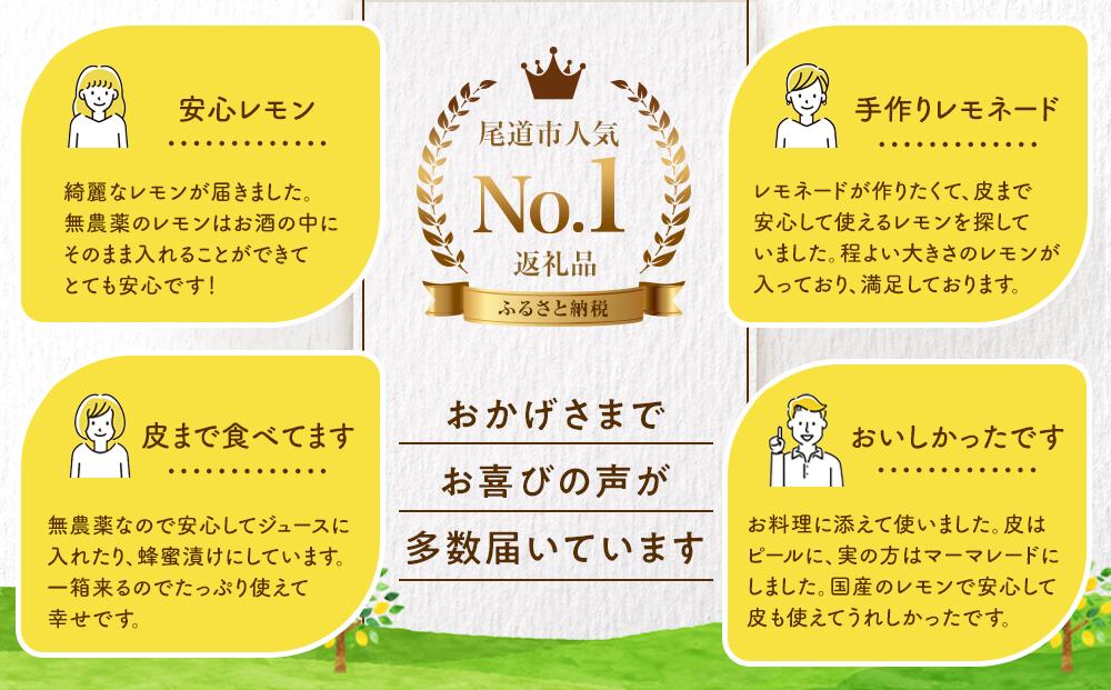 【20箱限定】皮まで美味しい無農薬レモン 約3kg【瀬戸田 瀬戸田レモン 檸檬 瀬戸内レモン フルーツ 柑橘 シトラス 無農薬 有機肥料 防腐剤不使用 レモネード はちみつ 尾道市 広島】