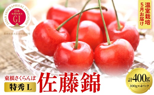 2026年産【5月お届け】GI東根さくらんぼ 佐藤錦 特秀品 Lサイズ 約400g(100g×4パック） 山形県 東根市 東根農産センター提供 hi027-163-r8