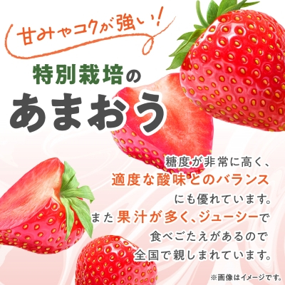 【数量限定】特別栽培あまおう約300g×4パック(約1,200g)【2024年12月より順次発送】【配送不可地域：離島】