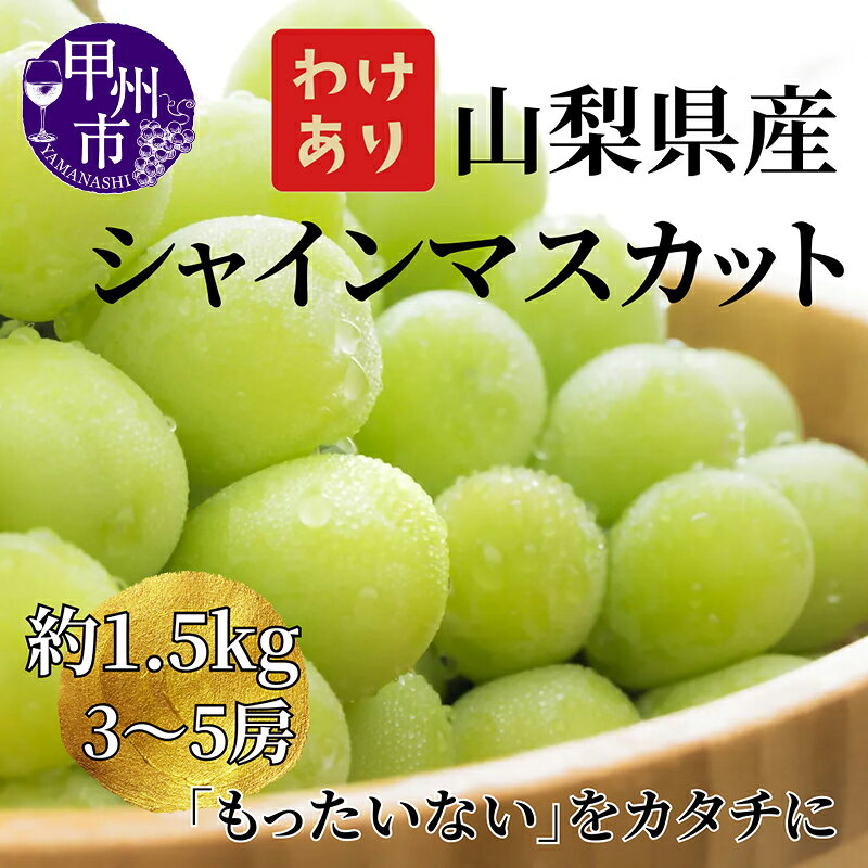 【ふるさと納税】 訳あり シャインマスカット 2026年 先行予約 約1.5kg 3〜5房 果物 冷蔵 クール便 期間限定 8月 9月 10月 発送 マスカット ぶどう 葡萄 甘い フルーツ 果実 くだもの 数量限定 人気 フードロス 家庭用 山梨県 甲州市 社員マスカット （LKS） 【B12-850】