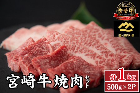 【A4等級以上】宮崎牛おためし焼肉 500g×2P（国産 牛肉 肉 宮崎牛 黒毛和牛 モモ ウデ 焼肉 人気 特別提供）