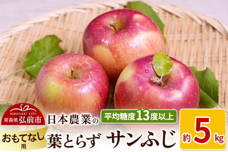 【25年11月～発送】りんご 平均糖度13度以上！ 葉とらずサンふじ 約5kg おもてなし用【先行受付】