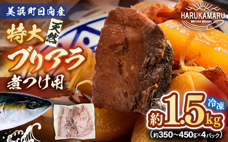 天然 ぶり 特大 ブリアラ（煮付け用）合計 約1.5kg 美浜町日向産【ぶつ切り 切身 塩焼き 骨付き ブリ大根 煮物 アラ】 [m36-a019]