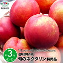 【ふるさと納税】信州須坂の桃 旬のネクタリン 特秀品 約3kg (約11～20玉) 《黒岩果樹園》■2025年発送■※7月上旬頃～9月上旬頃まで順次発送予定 ネクタリン もも モモ 桃