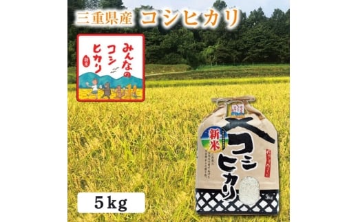 【選べる精米率】新米 令和7年産 三重県産 コシヒカリ 5kg［白米 玄米 5分つき米 7分つき米]　白米