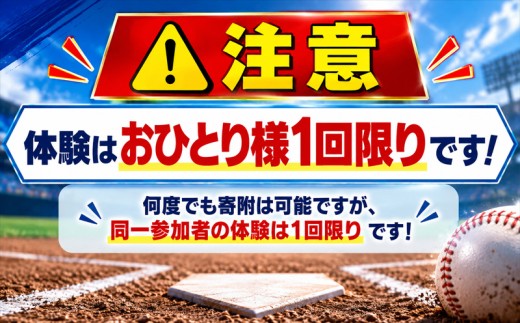 【野球教室1日体験】元横浜DeNAベイスターズ 武藤祐太が直接指導｜投手コース 【小学生推奨】 【水曜 17時～ 】 神奈川県 厚木市 Ⅶ STAGE BASEBALL ACADEMY SSB004