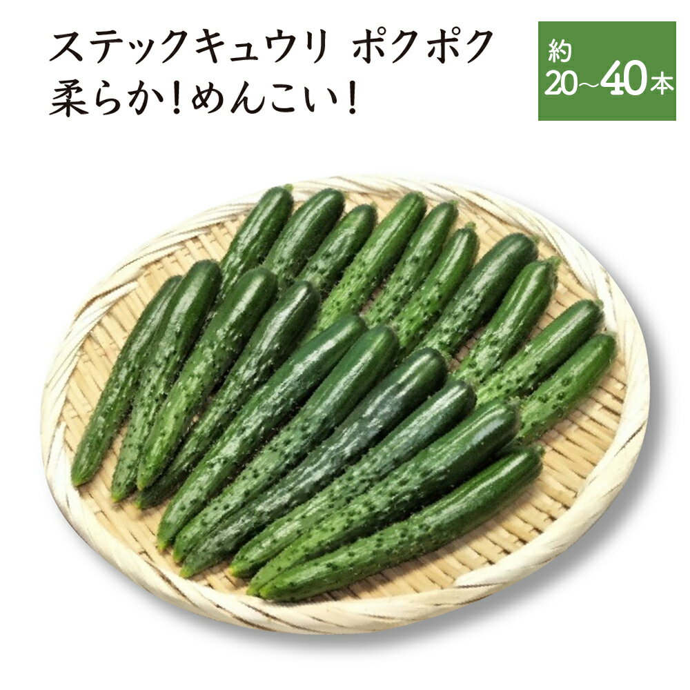 【ふるさと納税】【選べる内容量！】ステックキュウリ ポクポク柔らか！めんこい！ 約20本～40本 【45P3206・90P3205】