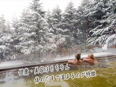 ロックウッド・ホテル＆スパ：期間限定【スノーリゾート】天然温泉に浸かる旅　1泊2食付（平日限定：スタンダードツイン 三名様ご招待）