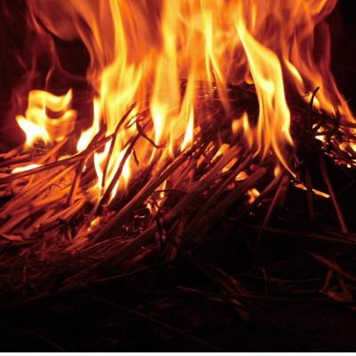 ふるさと納税 塩竈市 鰹・本マグロ・ビンチョウ鮪の藁焼き3点セット |  | 01