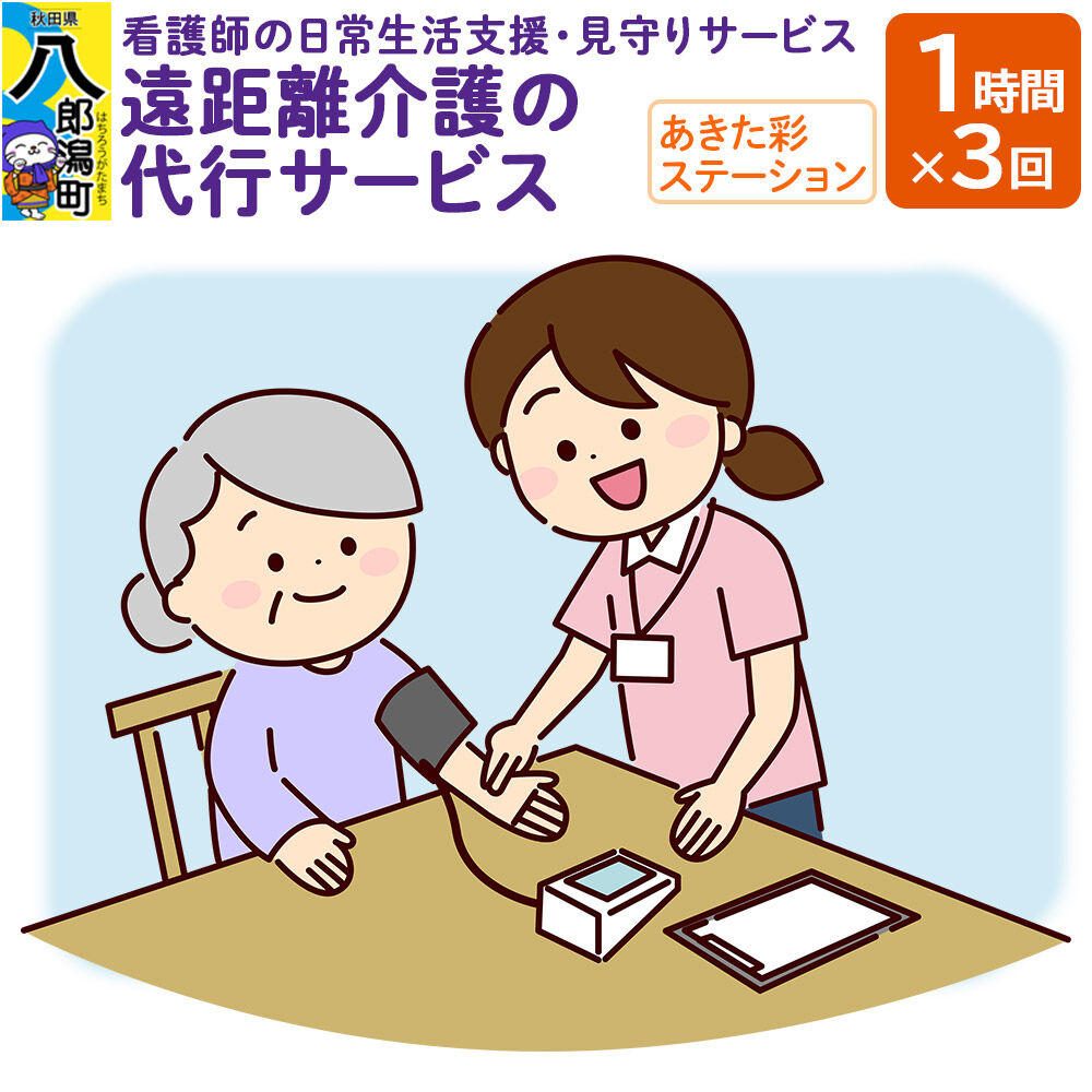 【ふるさと納税】支援 看護師の日常生活支援・見守りサービス　遠距離介護の代行サービス 1時間 3回 レターパックライトでお届け 八郎潟 [日常生活支援 見守りサービス 遠距離介護代行 体調管理 介護予防支援 日常生活の困り事]
