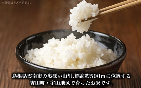 【R7年産新米】うやま米 コシヒカリ 8キロ(2kg×4) [AIDB018]