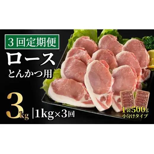 《定期便》長崎県産豚 ロースとんかつ用計1kg(100g×5枚×2) 【3回お届け】