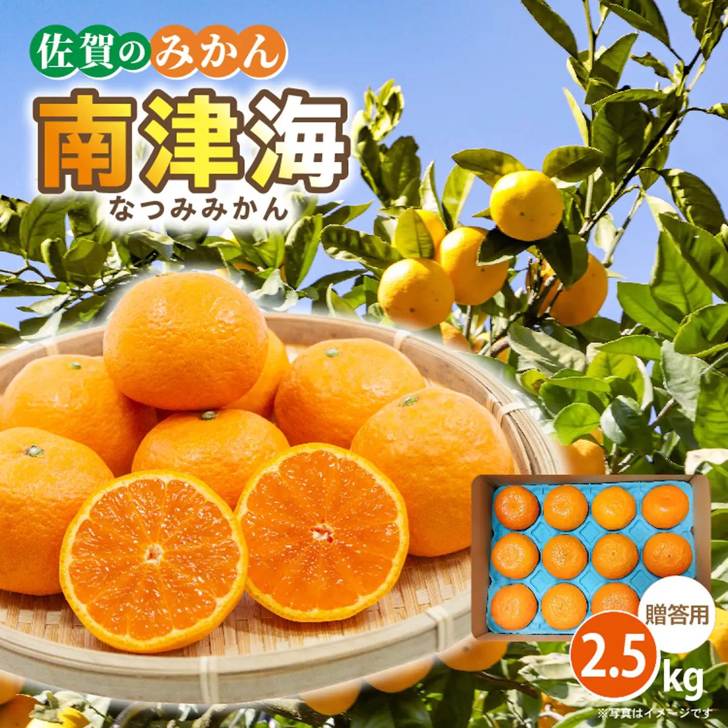 南津海（なつみ）みかん 2.5kg _b-500