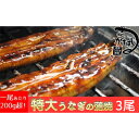 【ふるさと納税】心に染みる「かけはし」の味 特大 うなぎの蒲焼き 3尾　【うなぎ・鰻】