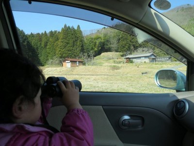 【家族で楽しむ】野生動物に出会える　丹波篠山だけの自然体験 CW026
