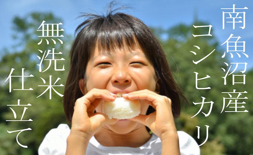 【令和7年産】【定期配送4Kg×全6回】吟精 無洗米 南魚沼産コシヒカリ【2025年10月上旬より順次発送予定】