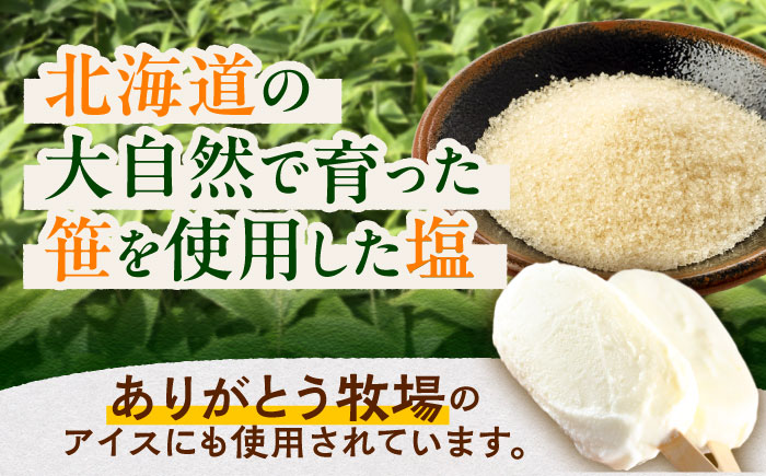 北のささ塩 100g×13袋《足寄町》【株式会社北のささ】塩 しお ソルト 料理 調味料 万能 おにぎり100g 北海道産 道産 あしょろ 北海道 [BEAR002]