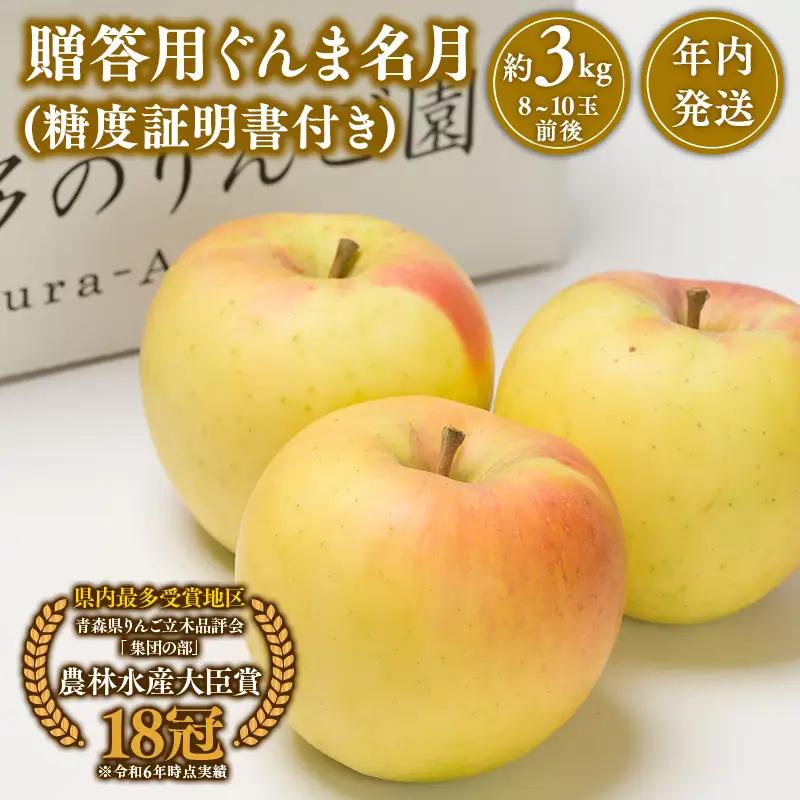 りんご 贈答用 ぐんま名月 約3kg 【hi-0005-013】