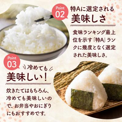 ふるさと納税 大仙市 米 特別栽培米 あきたこまち【精白米】5kg×1袋産|22_rsm-220101 |  | 03