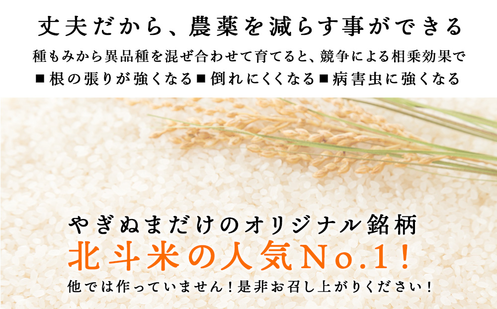 北斗米ゆきのつや5kg 柳沼 やぎぬま 東神楽 北海道