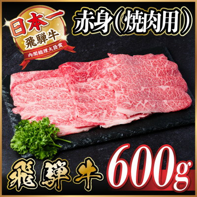 【ふるさと納税】飛騨牛 赤身(焼肉用) 600g【配送不可地域：離島】【1543753】