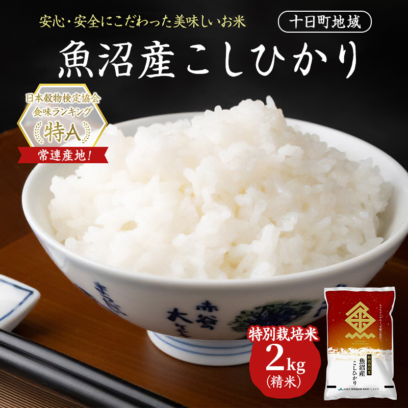 【令和8年産 先行予約】特別栽培米 魚沼産こしひかり(十日町地域) 精米 2kg 米 お米 コシヒカリ 十日町市