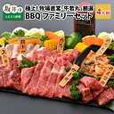 【ふるさと納税】極上！牧場直営「牛若丸」厳選 BBQファミリーセット 若狭牛 800g ＆ 上ハラミ 200g ＆ 豚トロ 200g（タレ付き）～野菜付き～ / 焼肉 やきにく キャンプ