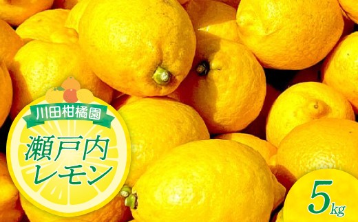 【先行受付】【2027年1月上旬～発送】川田柑橘園 広島県産 「瀬戸内レモン」5kg　れもん 檸檬 国産 広島県 呉市 ku055-015-26