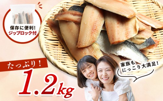 【ワケあり】 ”生冷” 春にしんフィレ1.2kg（オホーツク産・オス無塩）