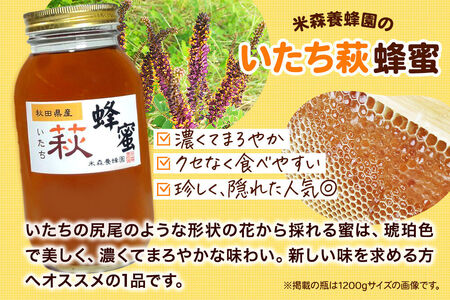 はちみつ いたち萩蜂蜜 国産 500g×1本 秋田県産100％ 秋田白神の天然蜂蜜 米森養蜂園 [はちみつ 天然 いたち萩蜂蜜 500g1本 蜂蜜 国産 ハチミツ ハニー 養蜂 白神山地 自然 まろや