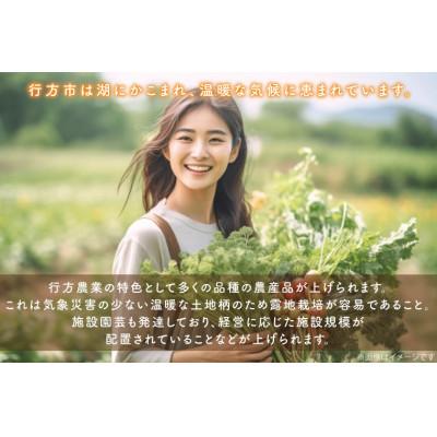 ふるさと納税 行方市 野菜王国なめがたの旬野菜便(さつまいも入り)CU-131 |  | 01