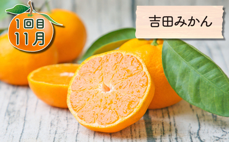 柑橘定期便 全3回 みかん定期便 家庭用 吉田みかん 愛果28号 ポンカン フレッシュつちやま 季節の柑橘 旬 愛媛みかん 愛媛蜜柑 愛媛ミカン 温州みかん 温州 果物 くだもの フルーツ 柑橘 みか