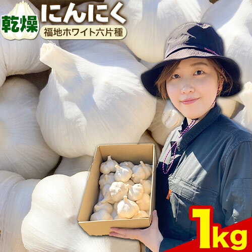 【ふるさと納税】（令和8年先行受付）にんにく（福地ホワイト六片種）1kgにんにく 福地ホワイト 1000g　北海道産 国産 スパイス ガーリック お肉 肉 アヒージョ 便利 普段使い 万能 調味料 焼肉 BBQ