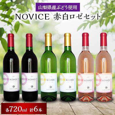 ふるさと納税 笛吹市 NOVICE(ノヴィス)3色セット(赤白ロゼ2本ずつ、合計6本)