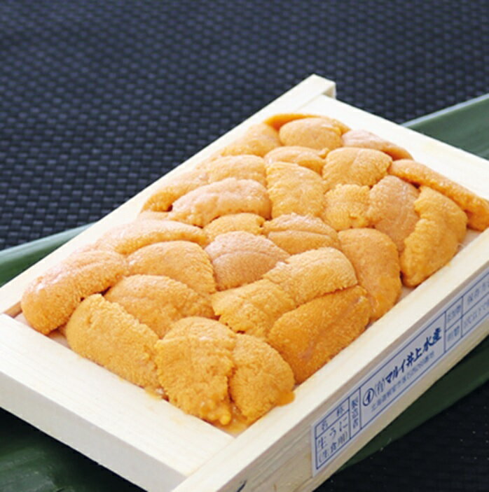 【ふるさと納税】 エゾバフンウニ 70 ~ 80 × 1 折 うに ウニ 雲丹 バフンウニ エゾバフンうに えぞばふんうに 蝦夷バウンウニ 蝦夷ばふんうに ウニ丼 うに丼 雲丹丼 刺身 お取り寄せ グルメ 海鮮 北海道 根室市 ふるさと納税 A-53020