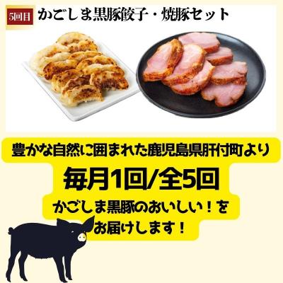ふるさと納税 肝付町 <定期便・全5回>『かごしま黒豚ふるさと定期便』ファミリーセットB　D02004 |  | 03