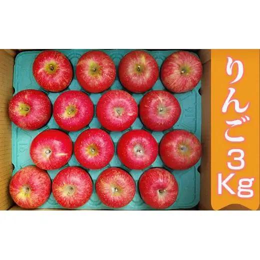 【11月下旬より順次お届け】[数量限定] 矢板市産完熟りんご ふじ 3kg箱｜リンゴ 林檎 フルーツ 果実 果物 スイーツ 産地直送 栃木県産 国産 先行予約